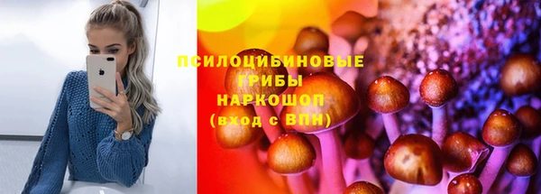 соль ск Алексин