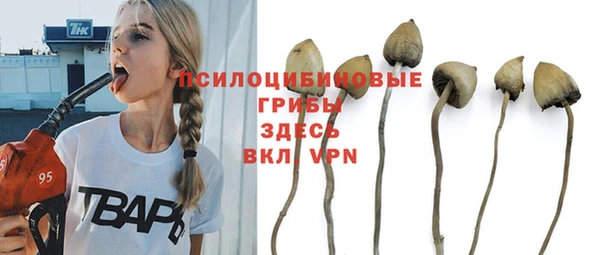 соль ск Алексин
