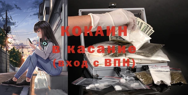 соль ск Алексин