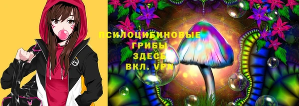 дмт Алексеевка