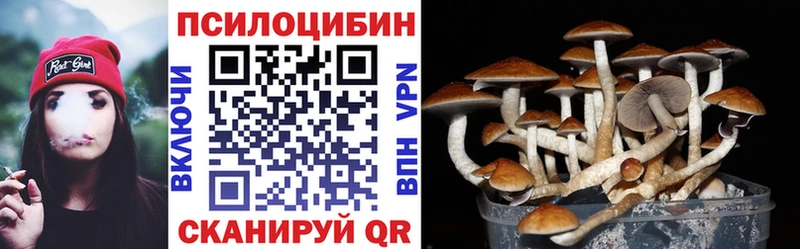 Галлюциногенные грибы ЛСД Петровск