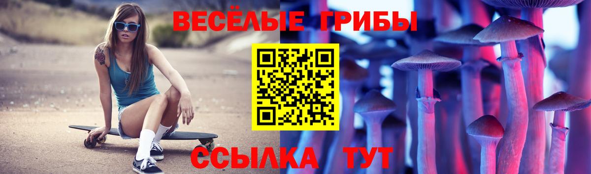 Галлюциногенные грибы Psilocybe  Вход с VPN  наркотики  Петровск 